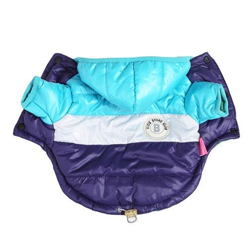 Roupinha para cachorro - Jaqueta Imperme¨¢vel com Capuz